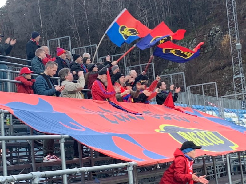 Oksene kom tallrike i buss!<br />​​​​​​