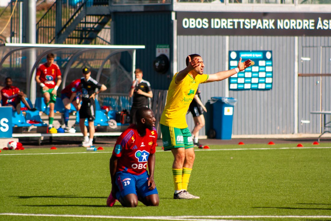 Sully på knærne.jpg